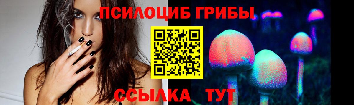 Галлюциногенные грибы Cubensis Армавир